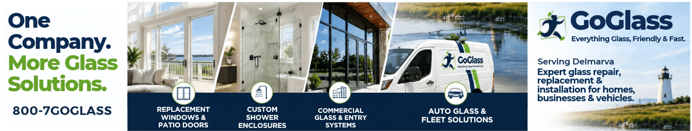 GoGlass