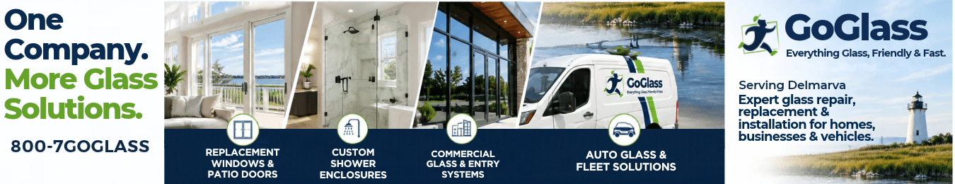 GoGlass