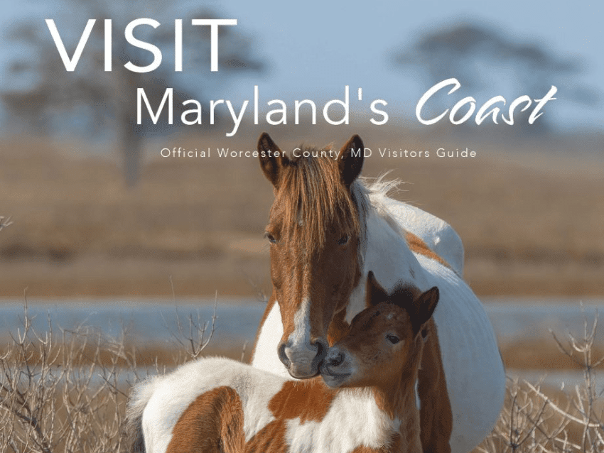 MD's Coast Worcester County Visitor Guide