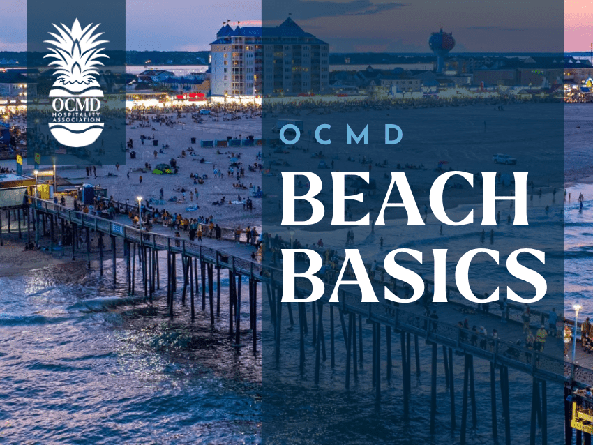 OCMD Beach Basics