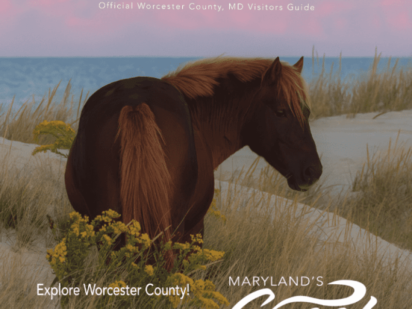 MD's Coast Worcester County Visitor Guide