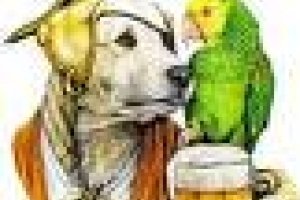 Buxy's Salty Dog Saloon